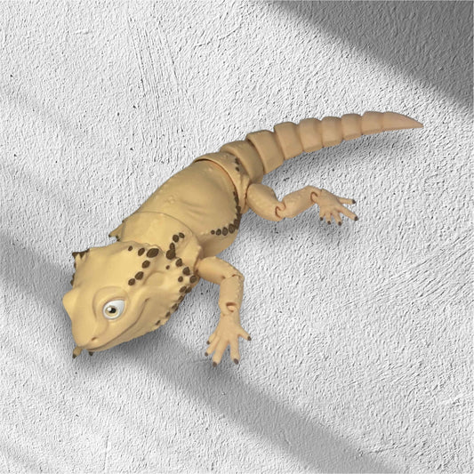 Bearded Dragon